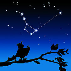 Die Fledermaus Skybat sitzt auf einem Ast und zeigt mit einem Flügel in den Nachthimmel auf den Großen und den Kleinen Wagen. Eine Linie verbindet die beiden vorderen Sterne des Großen Wagens mit dem Polarstern am Ende der Deichsel des Kleinen Wagens.