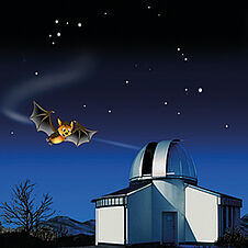 Das Bild zeigt die Fledermaus Flappi, die durch die Nacht fliegt. Am Himmel befinden sich Sterne. Rechts unterhalb von Flappi ist eine Sternwarte mit einer Kuppel. Der Kuppelspalt ist geöffnet (künstlerische Darstellung).