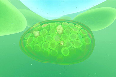 Das Bild zeigt eine Visualisierung von Mitochondrien. Diese sind als zylinderartige Strukturen dargestellt, die von oben betrachtet dicht nebeneinanderstehen und in einem annähernd ovalen Gebilde eingeschlossen sind.